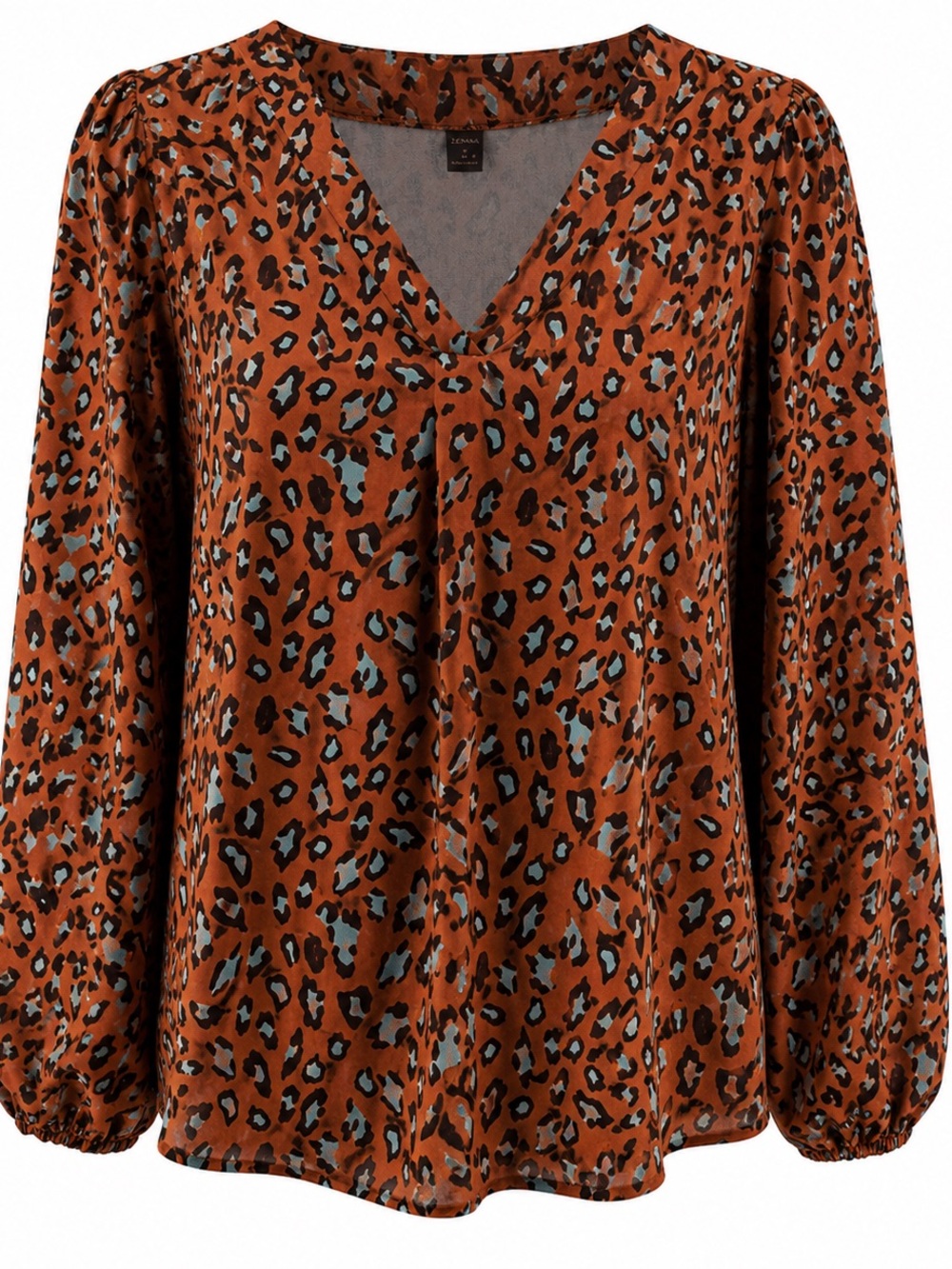 Leopard Print V-Neck Blouse